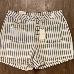 All Aboard Judy Blue Striped Shorts